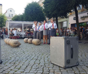 Peregrinus na Rynku w Lesznie