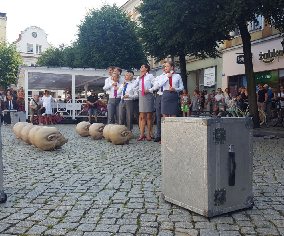 Peregrinus na Rynku w Lesznie