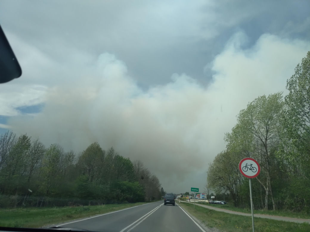 Pożar w Puszczy Białowieskiej