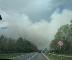 Pożar w Puszczy Białowieskiej
