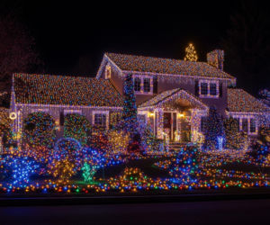 Świetlna Magia w Łęgu Tarnowskim. Jeden szczegół zaskoczy odwiedzających