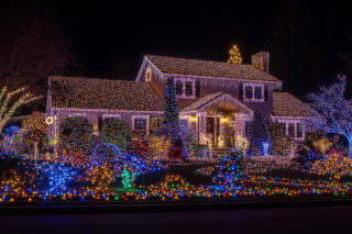 Świetlna Magia w Łęgu Tarnowskim. Jeden szczegół zaskoczy odwiedzających