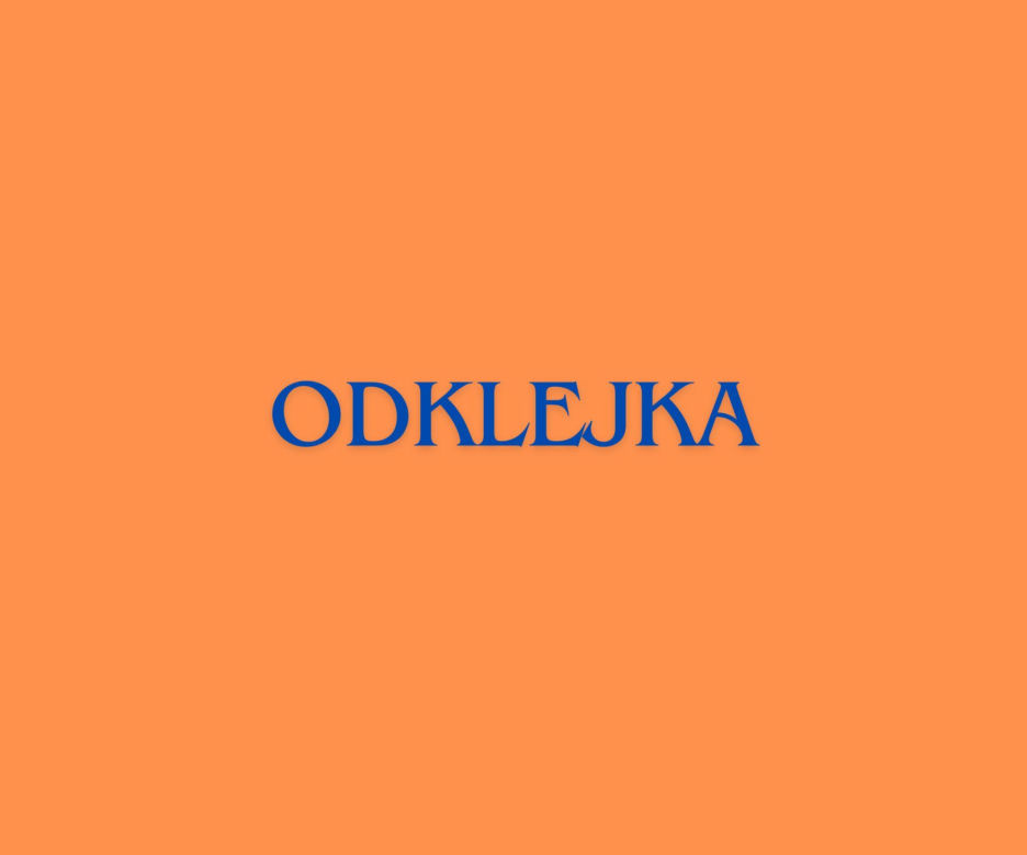 Młodzieżowe Słowo Roku 2023 - odklejka