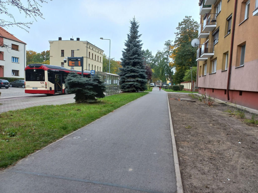 Kilkaset roślin i pergola. Zmienia się ulica Dąbrowskiego w Lesznie