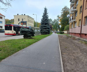 Kilkaset roślin i pergola. Zmienia się ulica Dąbrowskiego w Lesznie