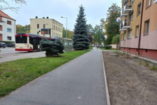 Kilkaset roślin i pergola. Zmienia się ulica Dąbrowskiego w Lesznie