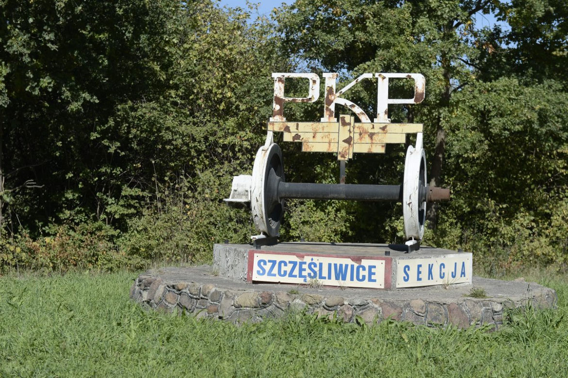 Wycinka drzew na Odolanach