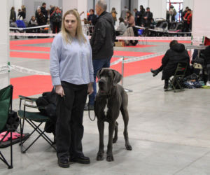 Międzynarodowa Wystawa Psów Rasowych Duo Cacib Kielce 2025