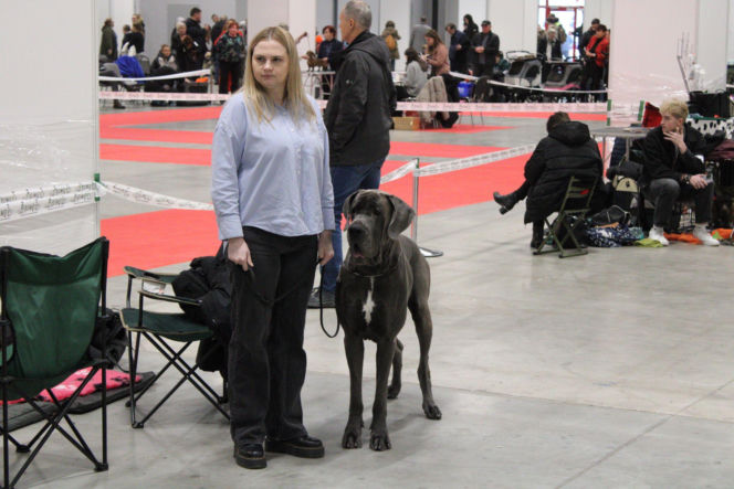 Międzynarodowa Wystawa Psów Rasowych Duo Cacib Kielce 2025