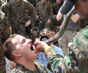 Tak się szkoli żołnierzy marines 