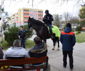 Patrole konne w Policach