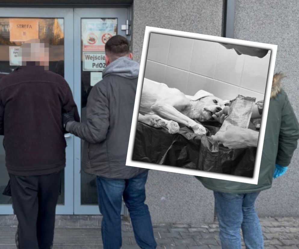 Katował psa na warszawskim balkonie. Decyzja weterynarzy łamie serce