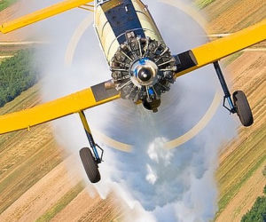 PZL Mielec