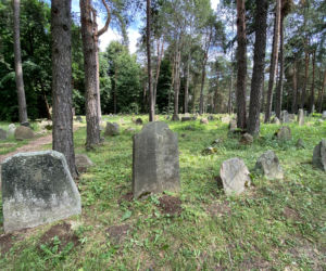 Kruszyniany - mizar, meczet, tradycyjna architektura i nieskalana przyroda