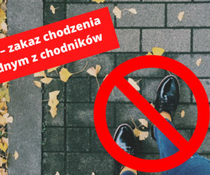 Luboń