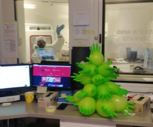 Laboratorium w Sosnowcu: Tu świąteczna radość przeplata się z widmem śmierci