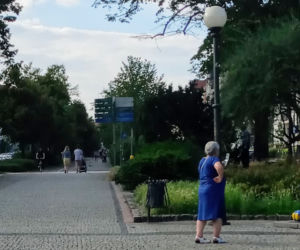 Gryfusy na ulicach Szczecina