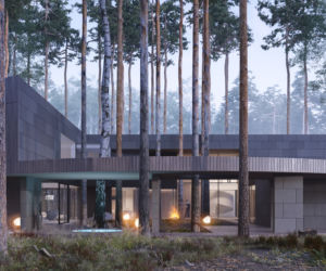 Circle Wood House. Dom wśród drzew