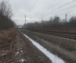 Cecylia zginęła pod kołami pociągu