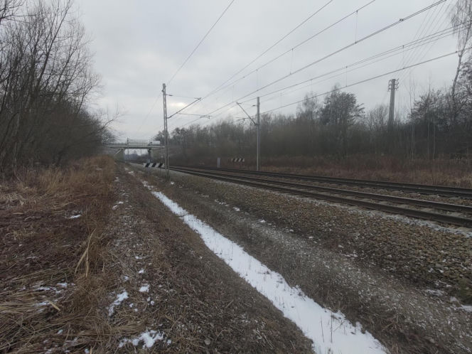 Cecylia zginęła pod kołami pociągu