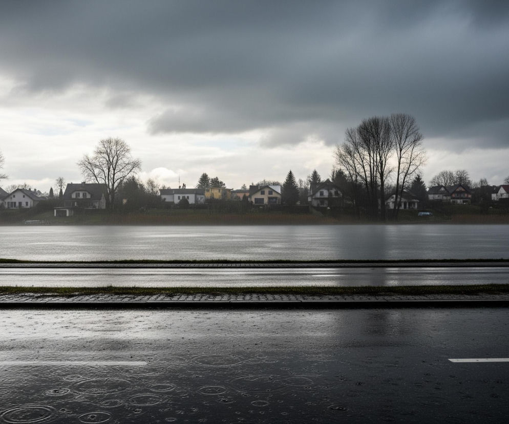 Droga pokryta deszczem, na której widoczne są kręgi na kałużach, biegnie przez pierwszy plan obrazu. Po lewej stronie wznosi się ciemna latarnia uliczna, obok której stoi czarny kosz na śmieci. Dalej rozciąga się ciemne, spokojne jezioro, a za nim szereg domów z drzewami ogołoconymi z liści. Ponad wszystkim dominuje ciemne, zachmurzone niebo.