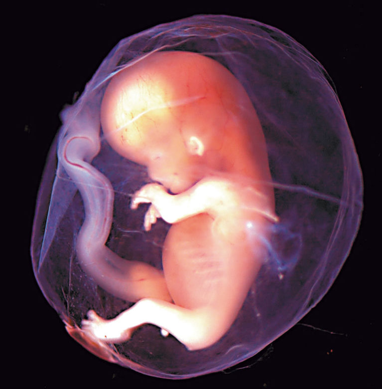 Ksiądz zmusił kochankę do aborcji!