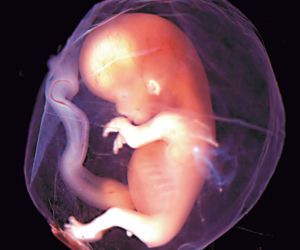Ksiądz zmusił kochankę do aborcji!