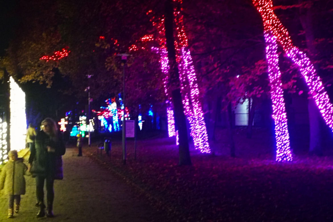 Garden of Lights w Szczecinie
