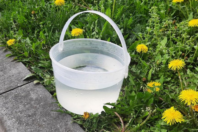 Z żartami lepiej nie przesadzać.  Warto  o tym pamiętać szczególnie dziś!