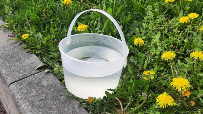 Z żartami lepiej nie przesadzać.  Warto  o tym pamiętać szczególnie dziś! 