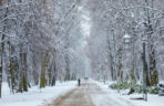 Idealne miejsca na zimowy spacer w Warszawie