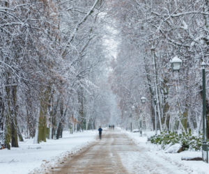 Idealne miejsca na zimowy spacer w Warszawie