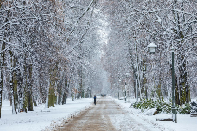 Idealne miejsca na zimowy spacer w Warszawie