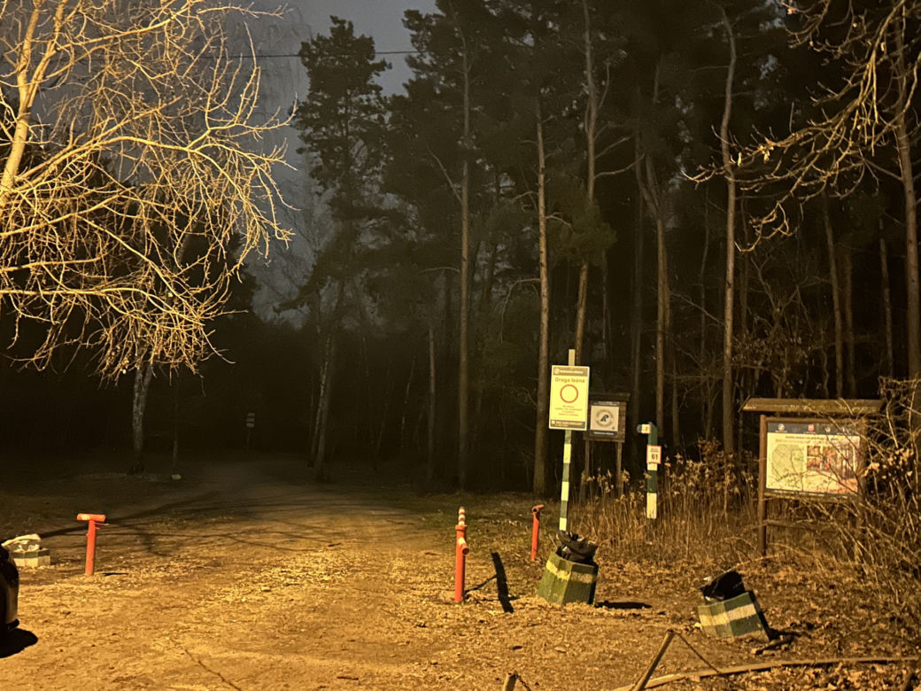 Makabra w Legionowie. Wyszli na spacer, zaleźli zwłoki