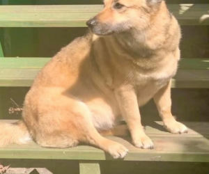 Małgorzata Ostrowska