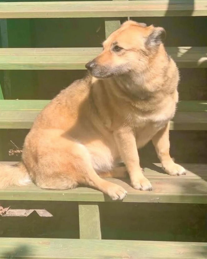 Małgorzata Ostrowska