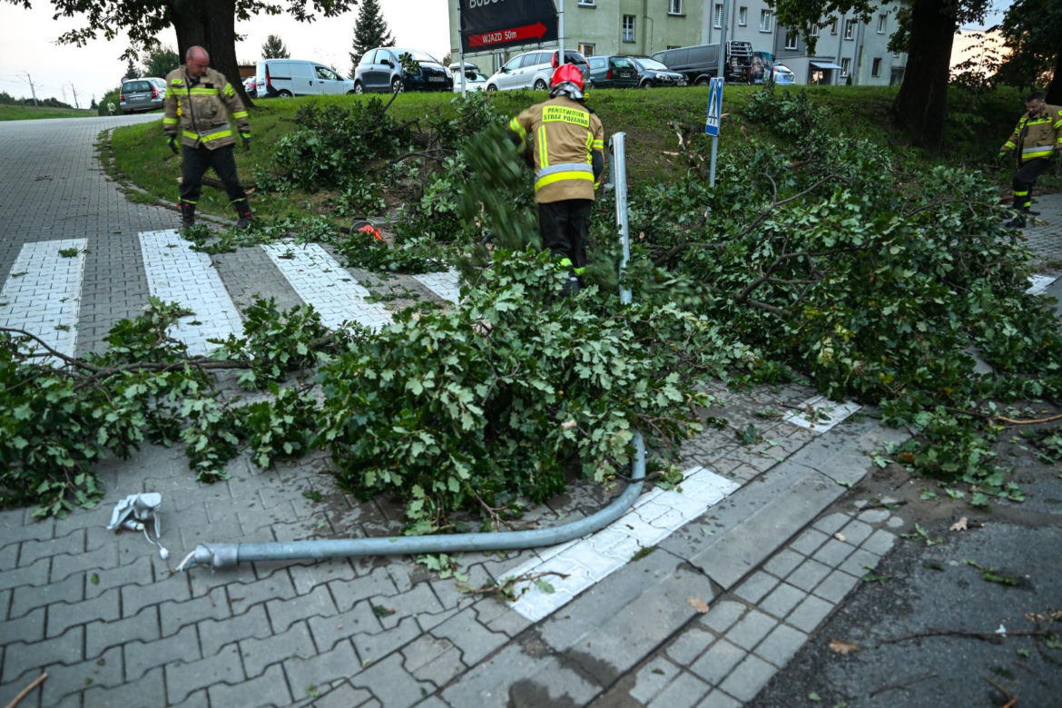 Ulewne deszcze na Podkarpaciu. Połamane drzewa na ulicach Dębicy
