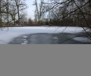 Nastolatek wpadł do zamarzniętego jeziorka