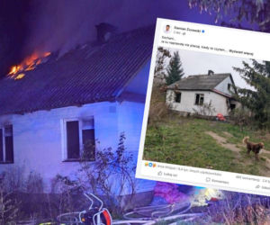 Pies z Radzynia Podlaskiego jak Hachiko