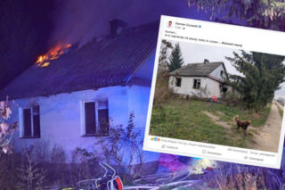 Pies z Radzynia Podlaskiego jak Hachiko