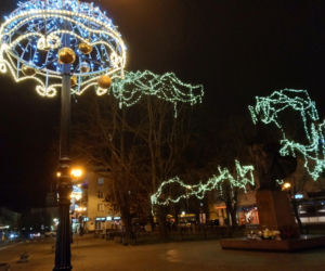 Siedlce: Pojawiły się iluminacje i choinka. Zobacz zdjęcia!