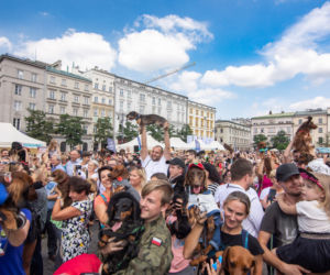 Kraków: Marsz Jaminików 2018. Zobaczcie najlepsze przebrania! [ZDJĘCIA]