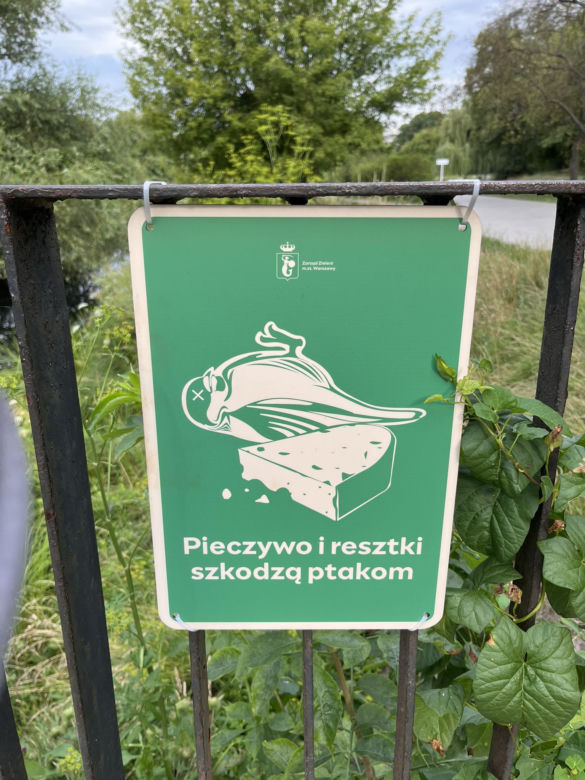 Kobieta pobita przez staruszka, bo zwróciła mu uwagę. "Przewrócił mnie na chodnik i okładał parasolką, potem uderzył pięścią w twarz"