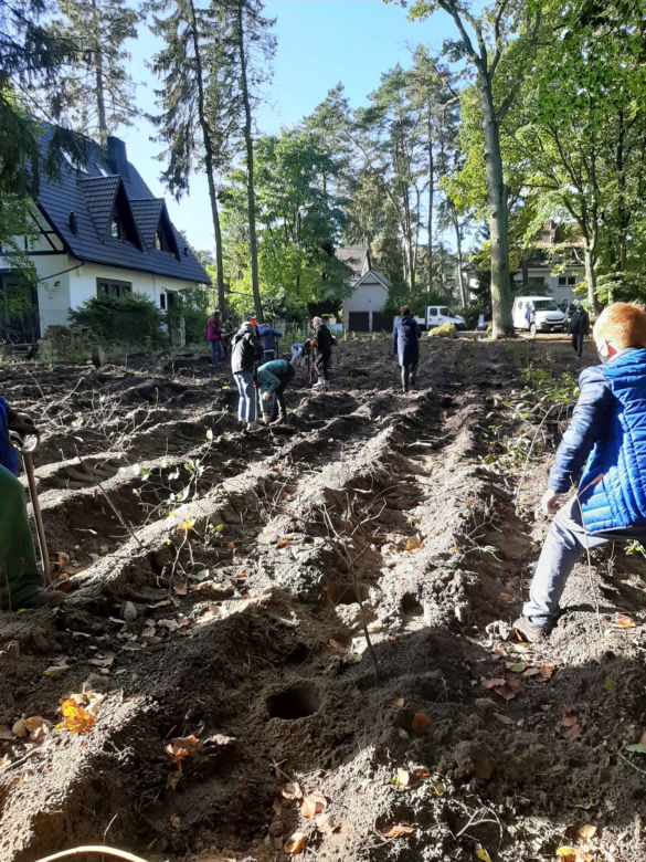 Najmłodsi szczecinianie posadzili tysiąc drzew!