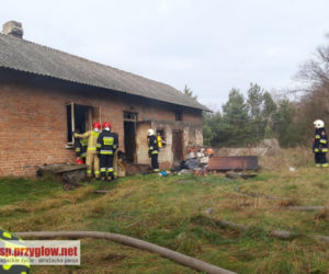 80-latka zginęła w pożarze swojego domu. Jej ciało leżało obok spalonego łóżka 