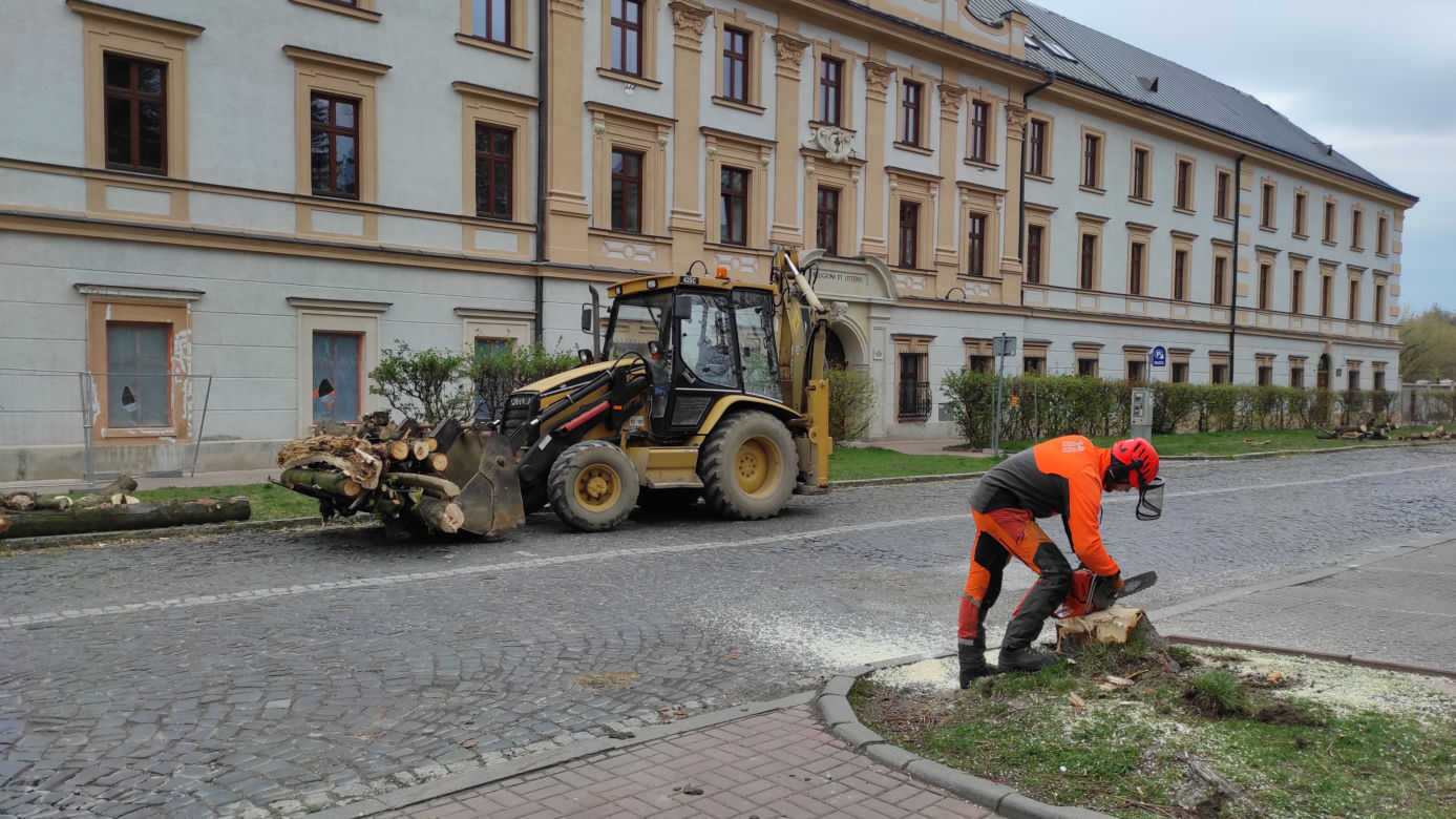 Rozpoczął się remont ulicy Piłsudskiego w Tarnowie