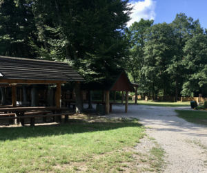 Arboretum w Marculach