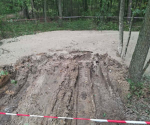 Tajemnicza maź zalała las pod Starachowicami. Policja i leśnicy badają sprawę
