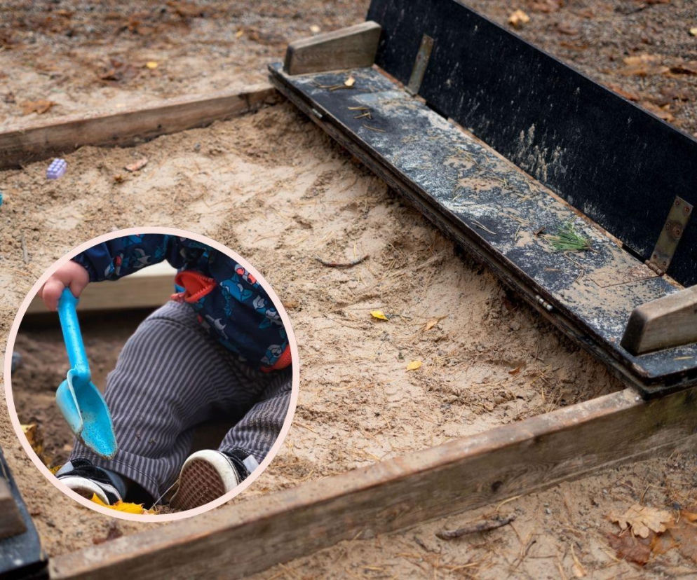 Piaskownice po zimie pełne niespodzianek. W tych wypadkach natychmiast zabierz dziecko