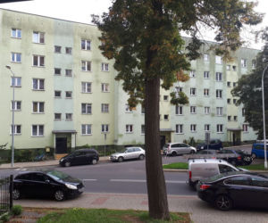 Bestie rozszarpały Kamilka